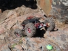 Vanquish Racing beautiful custom crawler