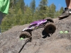 Scott Hughes XR10