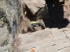 Tough uphill section