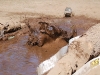G6 mud pit