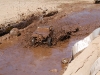 G6 mud pit