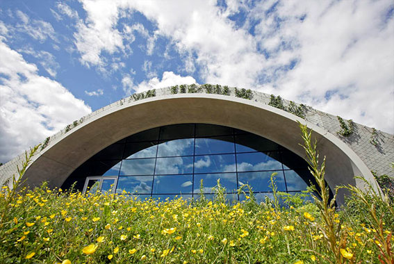 Black and Gold and Green: Lotus F1 Factory Tour