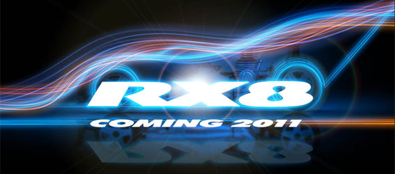 Team XRay RX8