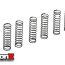 TLR Low Frequency Spring Sets