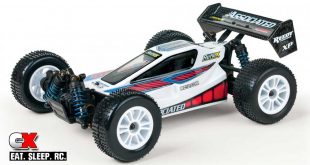 Team Associated Reflex Qualifier 1:18 RTR Buggy