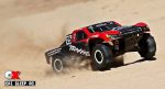 Traxxas Sand/Snow/Water Paddle Tires