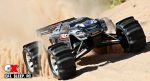 Traxxas Sand/Snow/Water Paddle Tires
