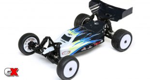 Losi Mini-B 1/16 Scale 2WD Buggy RTR | CompetitionX