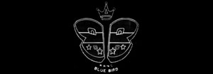 Blue Bird Manuals
