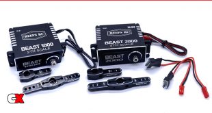 Reef's RC Beast 1000/Beast 2000 1/5 Scale Servos | CompetitionX