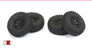 Pro-Line Racing 1/24 Hyrax 1.0 Crawler Tire | CompetitionX