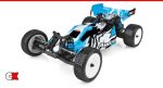 Team Associated RB10 RTR Buggy