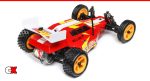 Losi Mini JRX2 Brushed 2WD Offroad Buggy RTR | CompetitionX