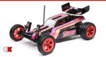 Losi Mini JRX2 Brushed 2WD Offroad Buggy RTR | CompetitionX