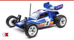 Losi Mini JRX2 Brushed 2WD Offroad Buggy RTR | CompetitionX