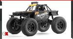 FMS FCX24 Lemur RTR | CompetitionX