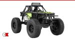 FMS FCX24 Lemur RTR | CompetitionX