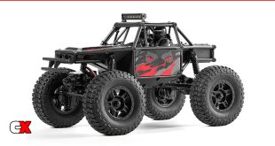 FMS FCX24 Lemur RTR | CompetitionX