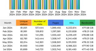 Site Statistics November 2024