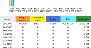 CompetitionX Site Statistics – January 2025