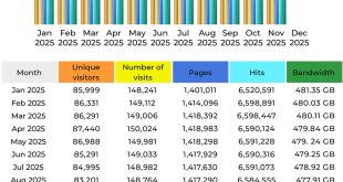 CompetitionX Site Statistics – November 2025