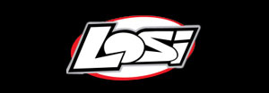 Team Losi / TLR Manuals