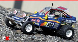 Review: Tamiya Fighting Buggy