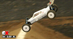 Review: Team Associated RC10B6D 2WD Buggy