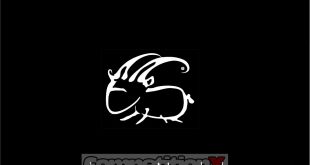 Capricorn Lab C02 Manual