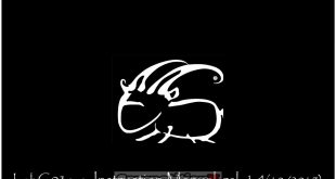Capricorn Lab C03 EVO Manual