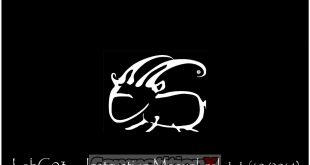 Capricorn Lab C03 Manual