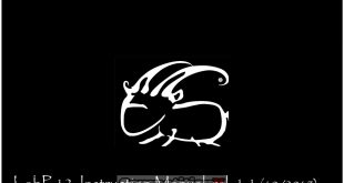 Capricorn Lab P12 USA Version Manual