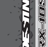 Destiny RX 10S Manual